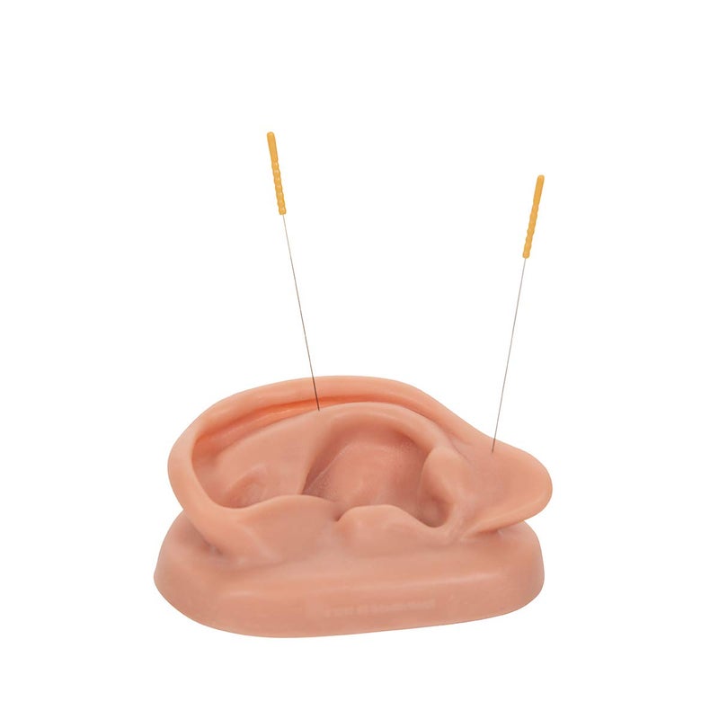 3B Scientific N15/1R SKINlike Silicone Right Acupuncture Ear Model, 3.7" x 2.4" x 1.6" - Image 3